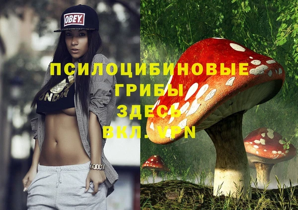 соль курить ск Весьегонск
