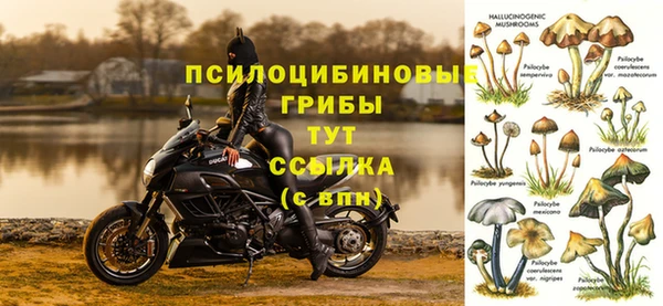 бошки Богородицк