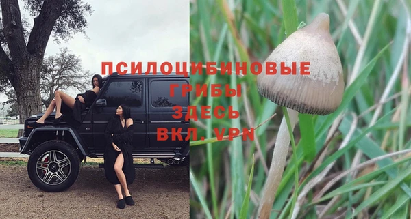 бошки Богородицк