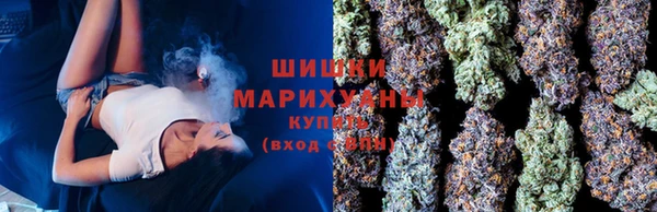 бошки Богородицк